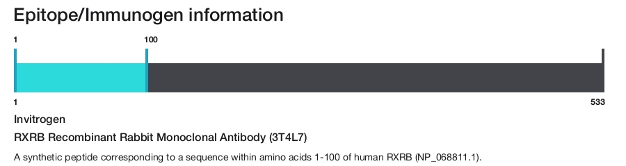 RXRB Recombinant Rabbit Monoclonal Antibody (3T4L7)