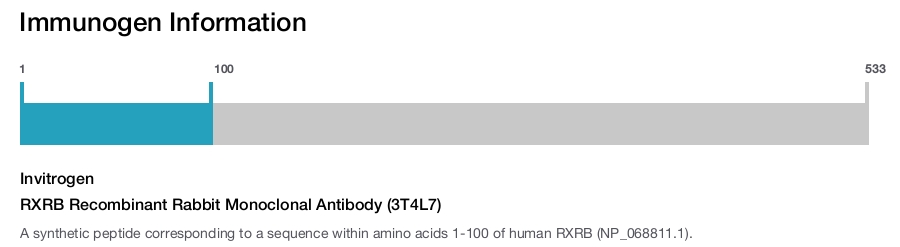 RXRB Recombinant Rabbit Monoclonal Antibody (3T4L7)