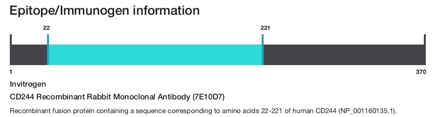 CD244 Recombinant Rabbit Monoclonal Antibody (7E10D7)