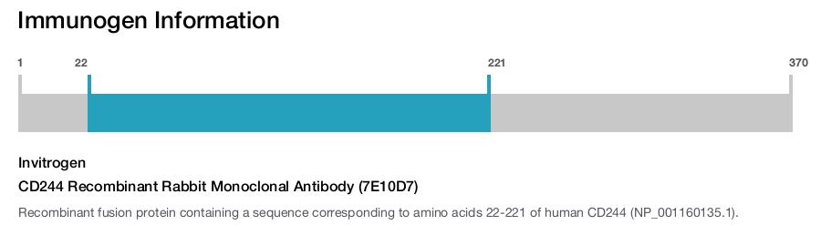 CD244 Recombinant Rabbit Monoclonal Antibody (7E10D7)