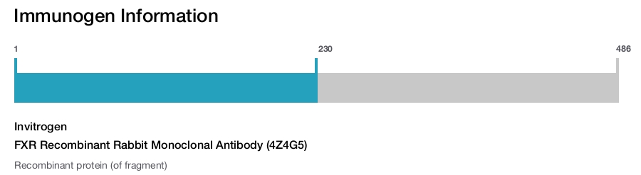 FXR Recombinant Rabbit Monoclonal Antibody (4Z4G5)