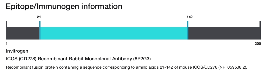 ICOS (CD278) Recombinant Rabbit Monoclonal Antibody (8P2G3)