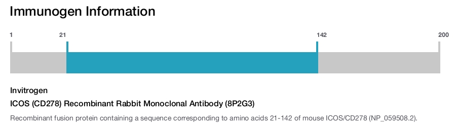 ICOS (CD278) Recombinant Rabbit Monoclonal Antibody (8P2G3)