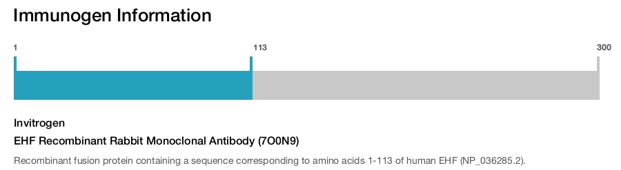 EHF Recombinant Rabbit Monoclonal Antibody (7O0N9)