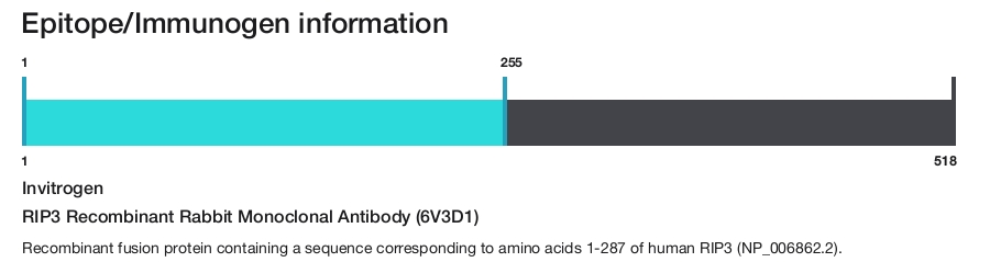 RIP3 Recombinant Rabbit Monoclonal Antibody (6V3D1)