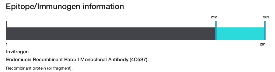Endomucin Recombinant Rabbit Monoclonal Antibody (4O5S7)