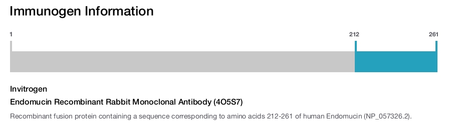 Endomucin Recombinant Rabbit Monoclonal Antibody (4O5S7)