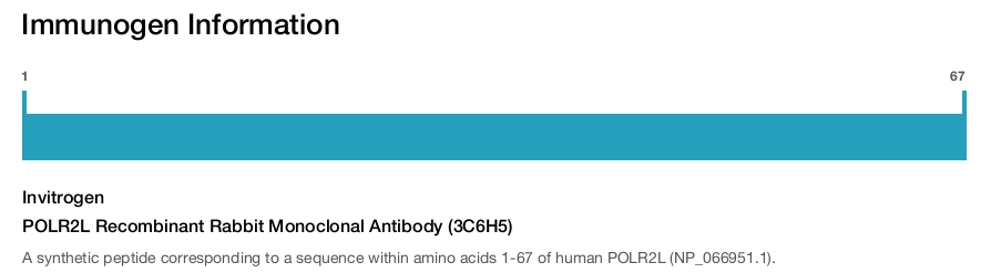 POLR2L Recombinant Rabbit Monoclonal Antibody (3C6H5)