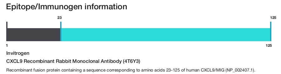 CXCL9 Recombinant Rabbit Monoclonal Antibody (4T6Y3)