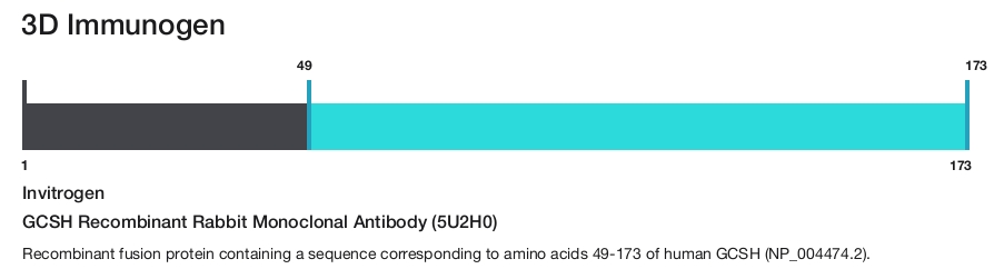 GCSH Recombinant Rabbit Monoclonal Antibody (5U2H0)