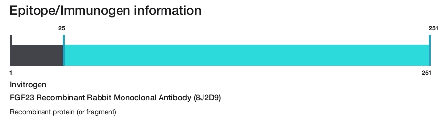 FGF23 Recombinant Rabbit Monoclonal Antibody (8J2D9)