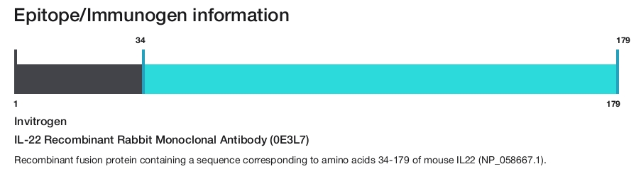 IL-22 Recombinant Rabbit Monoclonal Antibody (0E3L7)
