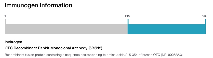 OTC Recombinant Rabbit Monoclonal Antibody (6B6N2)