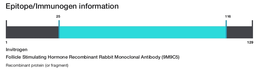Follicle Stimulating Hormone Recombinant Rabbit Monoclonal Antibody (9M9C5)