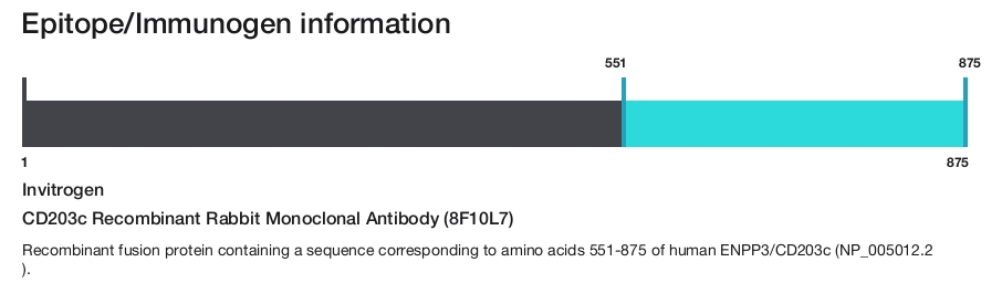 CD203c Recombinant Rabbit Monoclonal Antibody (8F10L7)