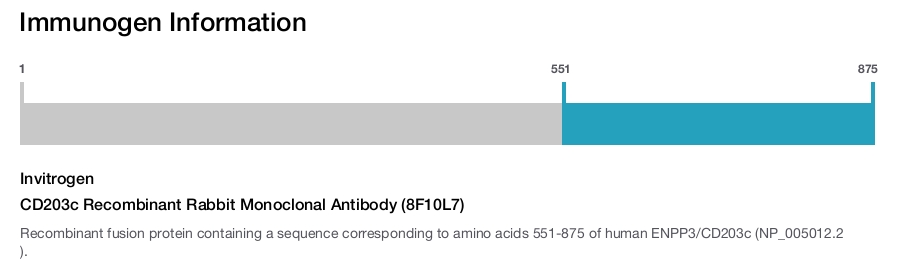 CD203c Recombinant Rabbit Monoclonal Antibody (8F10L7)