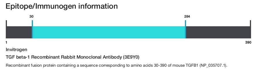 TGF beta-1 Recombinant Rabbit Monoclonal Antibody (3E9Y0)
