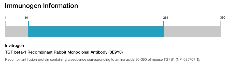 TGF beta-1 Recombinant Rabbit Monoclonal Antibody (3E9Y0)