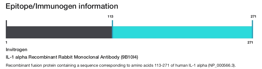 IL-1 alpha Recombinant Rabbit Monoclonal Antibody (9B10I4)