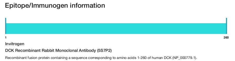 DCK Recombinant Rabbit Monoclonal Antibody (5S7P2)