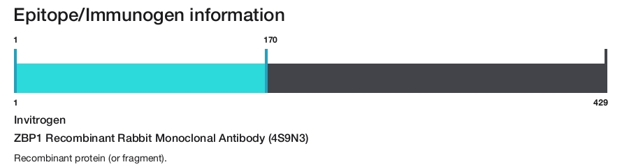 ZBP1 Recombinant Rabbit Monoclonal Antibody (4S9N3)