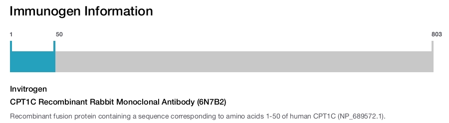 CPT1C Recombinant Rabbit Monoclonal Antibody (6N7B2)