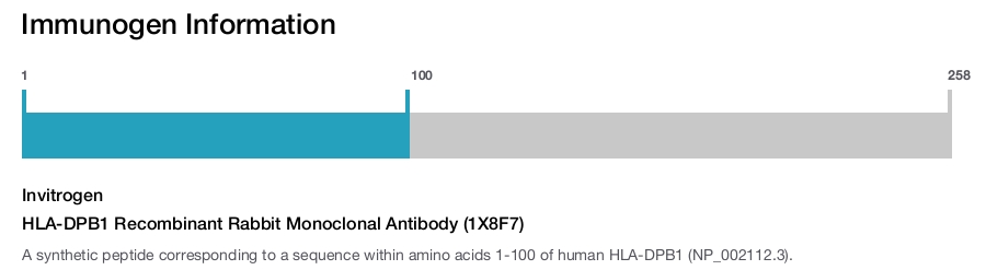 HLA-DPB1 Recombinant Rabbit Monoclonal Antibody (1X8F7)