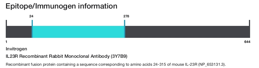 IL23R Recombinant Rabbit Monoclonal Antibody (3Y7B9)