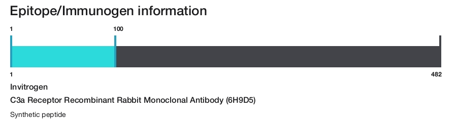 C3a Receptor Recombinant Rabbit Monoclonal Antibody (6H9D5)