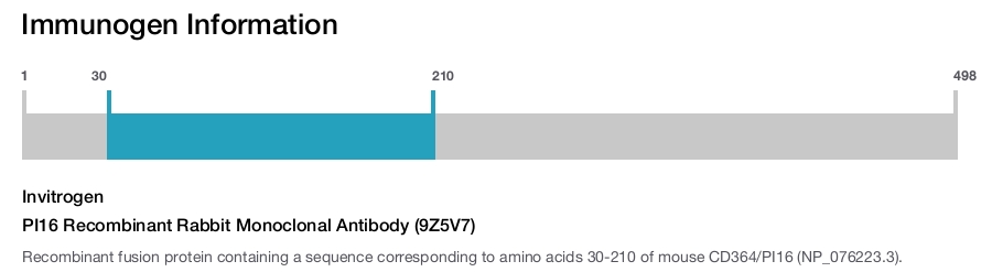 PI16 Recombinant Rabbit Monoclonal Antibody (9Z5V7)
