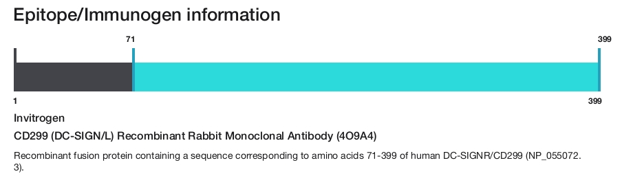 CD299 (DC-SIGN/L) Recombinant Rabbit Monoclonal Antibody (4O9A4)