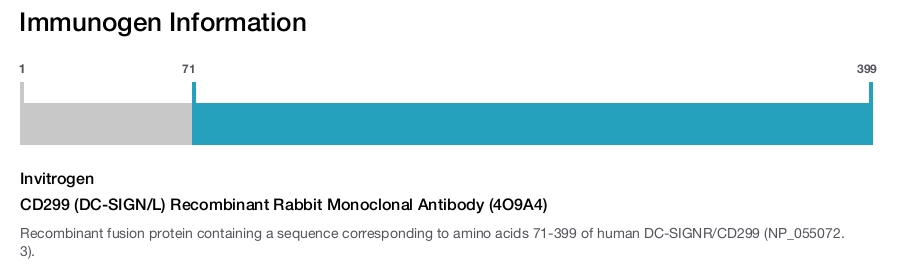 CD299 (DC-SIGN/L) Recombinant Rabbit Monoclonal Antibody (4O9A4)