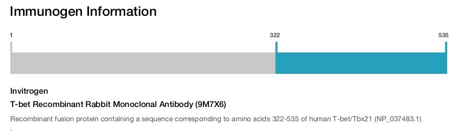 T-bet Recombinant Rabbit Monoclonal Antibody (9M7X6)