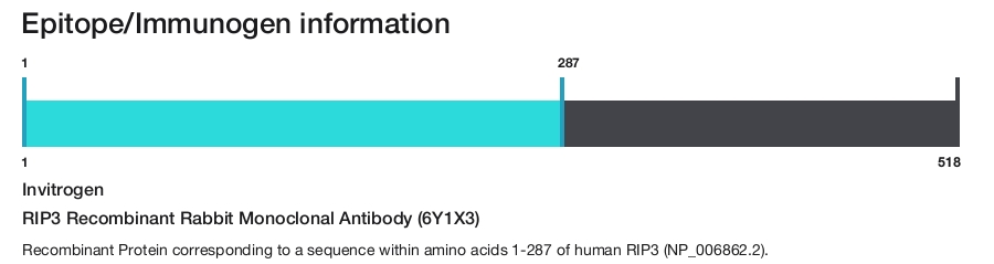 RIP3 Recombinant Rabbit Monoclonal Antibody (6Y1X3)