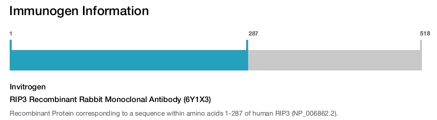RIP3 Recombinant Rabbit Monoclonal Antibody (6Y1X3)
