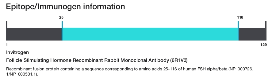 Follicle Stimulating Hormone Recombinant Rabbit Monoclonal Antibody (6R1V3)