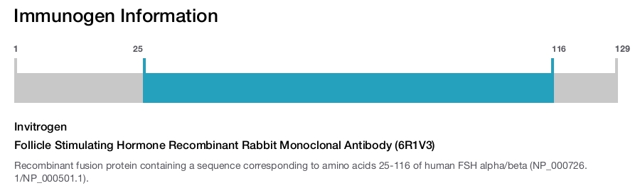 Follicle Stimulating Hormone Recombinant Rabbit Monoclonal Antibody (6R1V3)