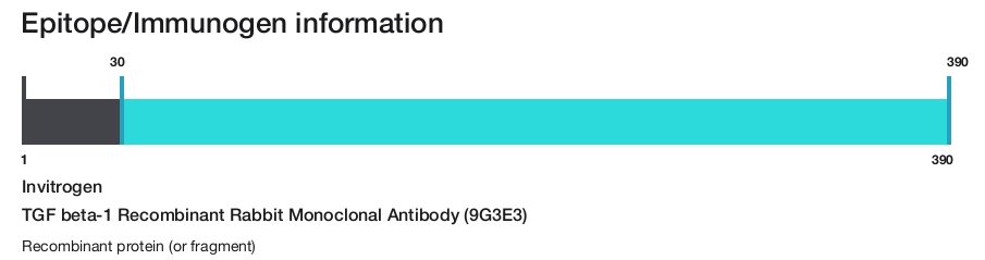 TGF beta-1 Recombinant Rabbit Monoclonal Antibody (9G3E3)