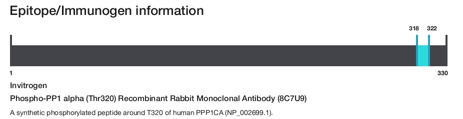 Phospho-PP1 alpha (Thr320) Recombinant Rabbit Monoclonal Antibody (8C7U9)