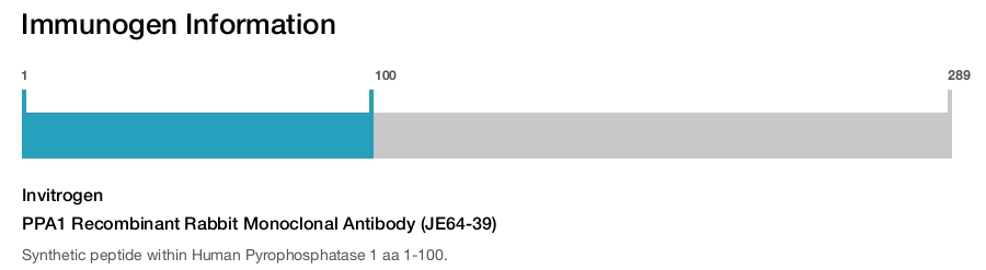 PPA1 Recombinant Rabbit Monoclonal Antibody (JE64-39)