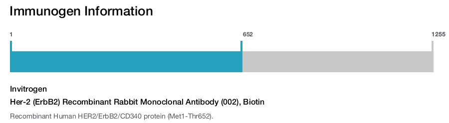 Her-2 (ErbB2) Recombinant Rabbit Monoclonal Antibody (002), Biotin