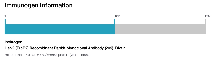 Her-2 (ErbB2) Recombinant Rabbit Monoclonal Antibody (205), Biotin