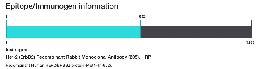 Her-2 (ErbB2) Recombinant Rabbit Monoclonal Antibody (205), HRP