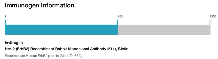Her-2 (ErbB2) Recombinant Rabbit Monoclonal Antibody (511), Biotin