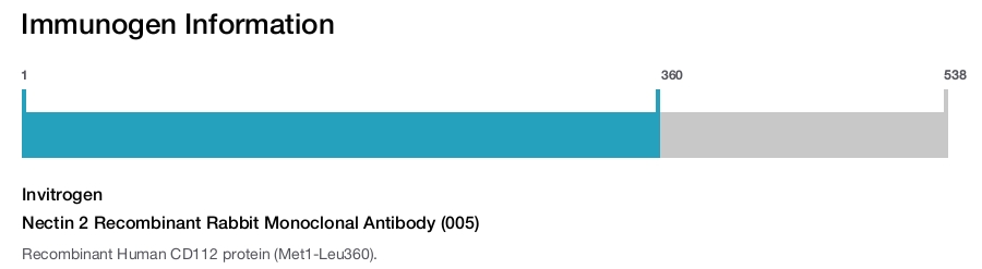 Nectin 2 Recombinant Rabbit Monoclonal Antibody (005)