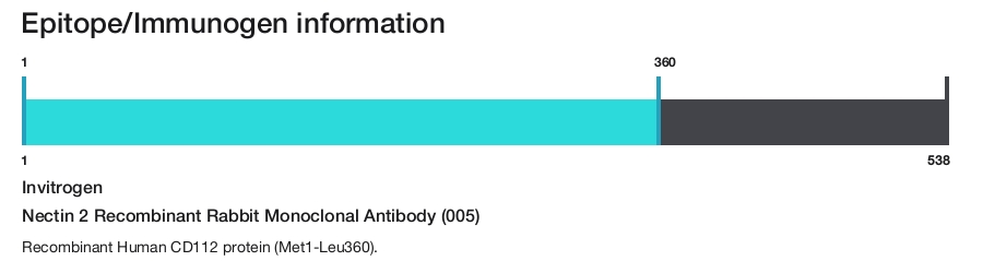 Nectin 2 Recombinant Rabbit Monoclonal Antibody (005)