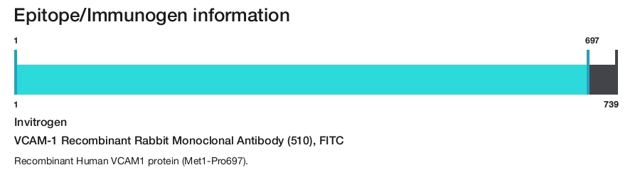 VCAM-1 Recombinant Rabbit Monoclonal Antibody (510), FITC