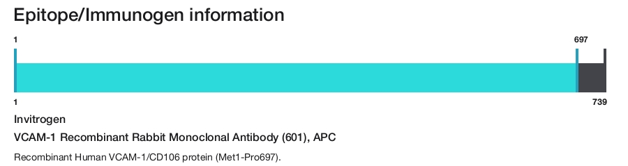 VCAM-1 Recombinant Rabbit Monoclonal Antibody (601), APC