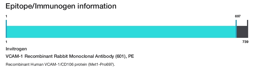 VCAM-1 Recombinant Rabbit Monoclonal Antibody (601), PE