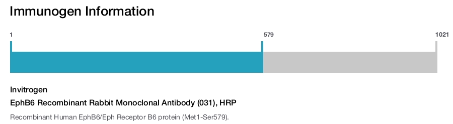 EphB6 Recombinant Rabbit Monoclonal Antibody (031), HRP